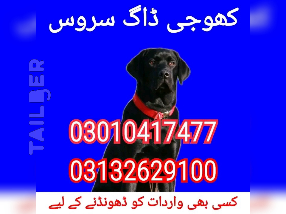 Army dog center rawalpindi 03132629100