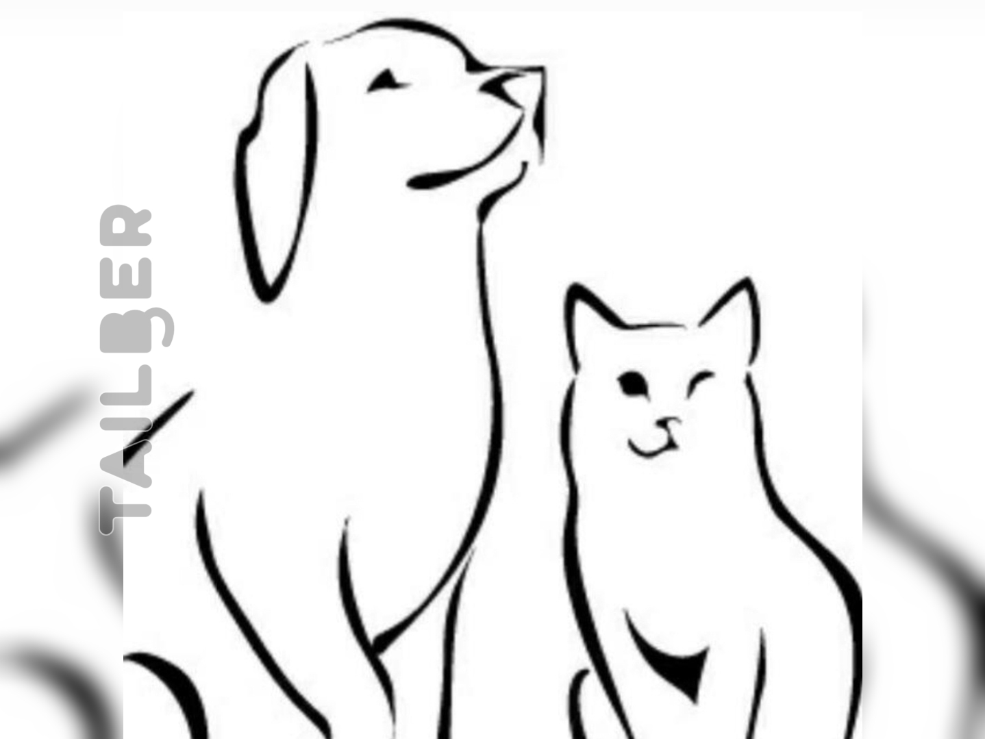 Dog clinic 